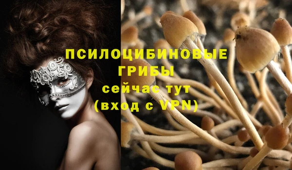 ALPHA PVP Нефтегорск
